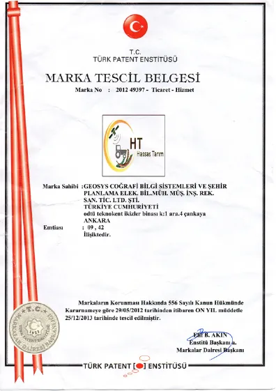 Certificate 7