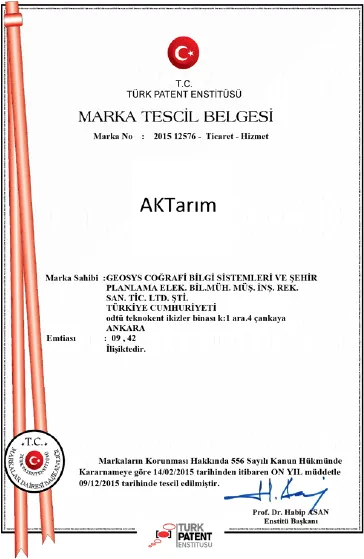 Certificate 8